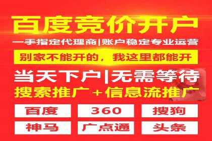谷歌竞价优化：实战案例分析及策略