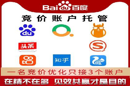 成功案例解析：SEM竞价托管的优化之路
