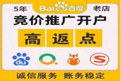 百度竞价排名策略优化：某公司广告投放效果翻倍的秘诀